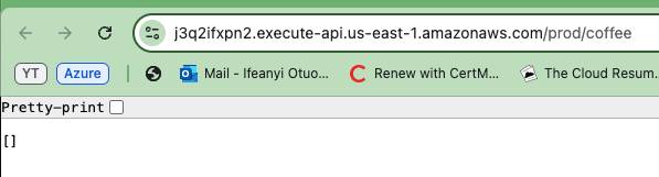 Empty list result when inserting API URL in browser.