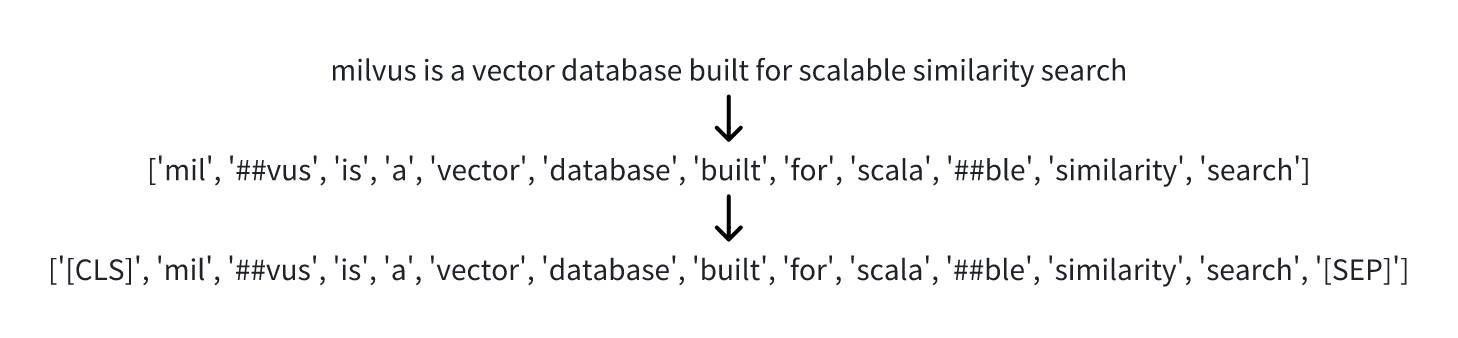 Converting words in a query string to tokens.