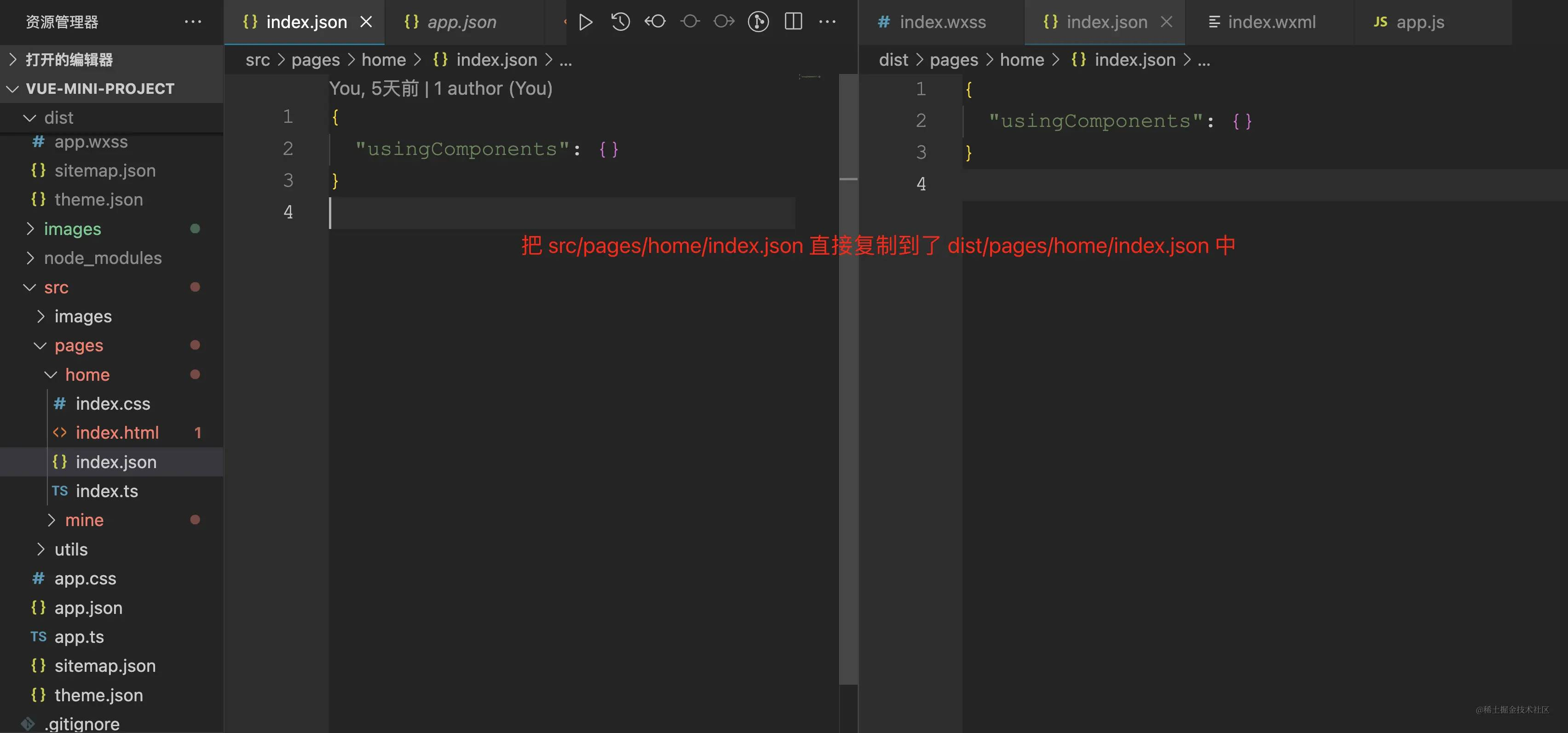首页 json 文件