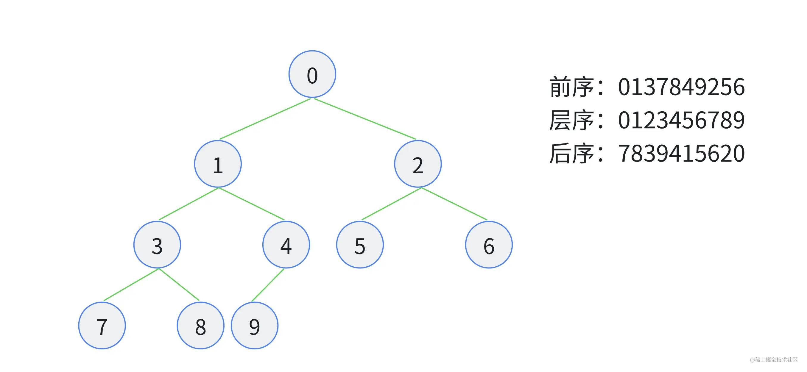 图：二叉树及遍历算法