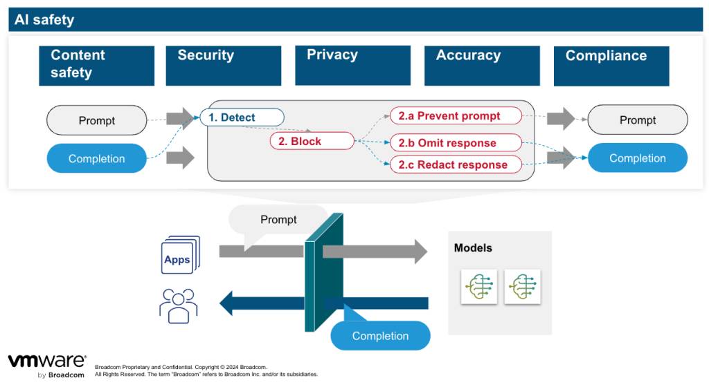 Model protection and safety considerations