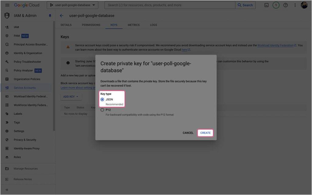 Download JSON key
